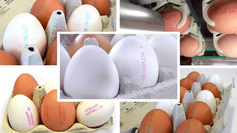 Product coding and marking on eggshells