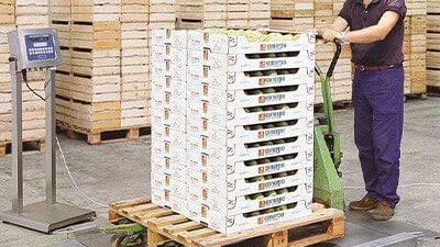 An employee uses a floor scale to weigh cartons of fruit.