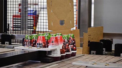 A case packet pushes air fresheners toward an assembled carton.