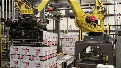 A palletizing robot stacks cartons on a pallet.