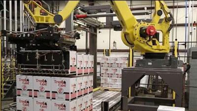 Robotic palletizer