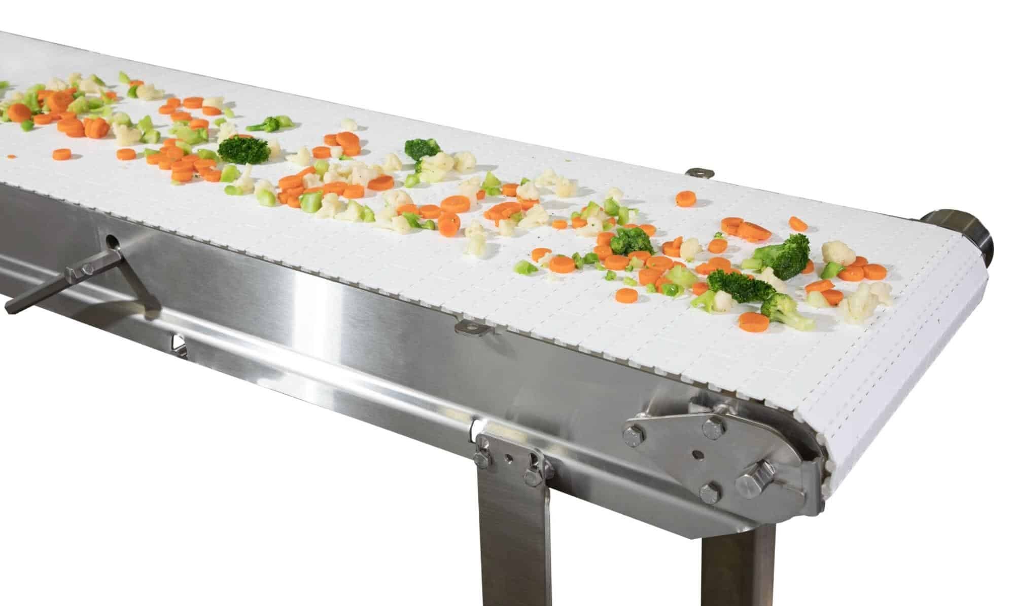 food grade conveyor